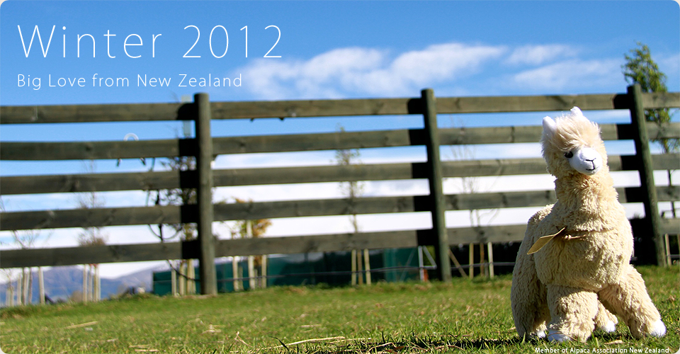 Big Love from New Zealand