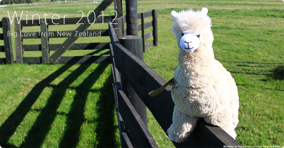 Big Love from New Zealand